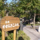 任務を忘れさせてくれる憩いの場